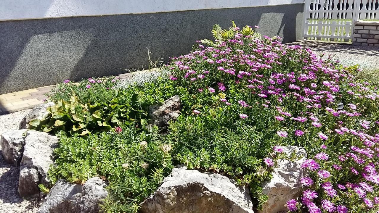 Alfa Apartman Harkány Zewnętrze zdjęcie